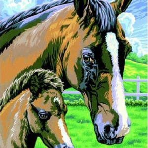 Schilderen op Nummer Paard