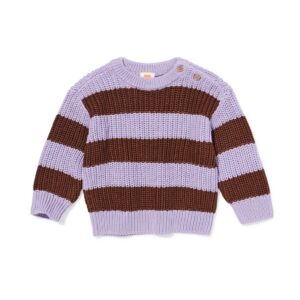 HEMA HEMA Babytrui Strepen Paars (paars)