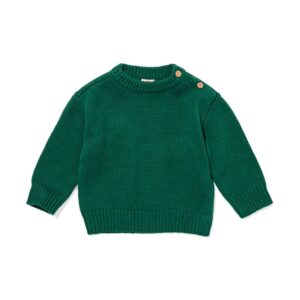 HEMA HEMA Babytrui Groen (groen)