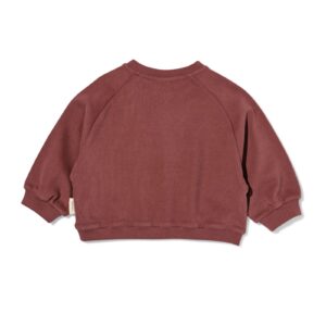 HEMA Nijntje babytrui sweatstof bruin